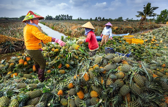 hau-giang